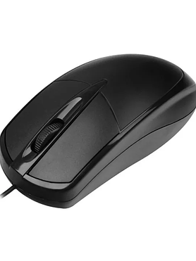 Computer Mouse